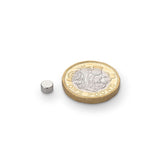 Neodymium Disc Magnet, 5mm Diameter x 3mm N35 Nickel Plate (A) - Indigo Supplies Ltd