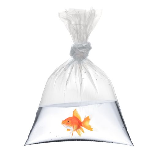 Water Tight Polythene Bags - Indigo Supplies Ltd