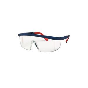 Astral Anti-Fog/Scratch Clear Lens Safety Glasses - Indigo Supplies Ltd